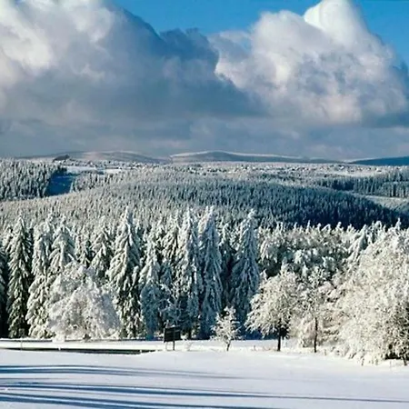 Apartman Im _haus Bergblick *