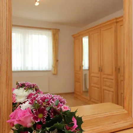 Im _haus Bergblick Apartman *